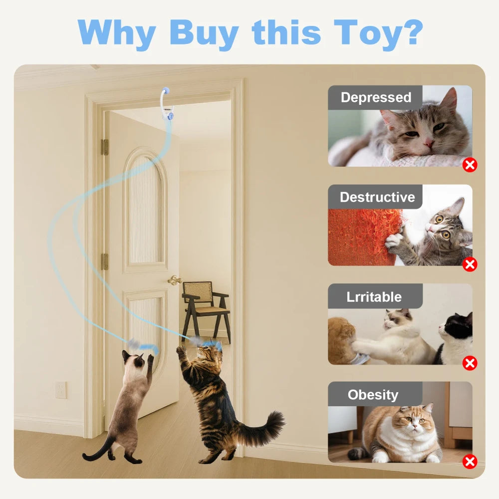 Hanging Cat Toy, Blue