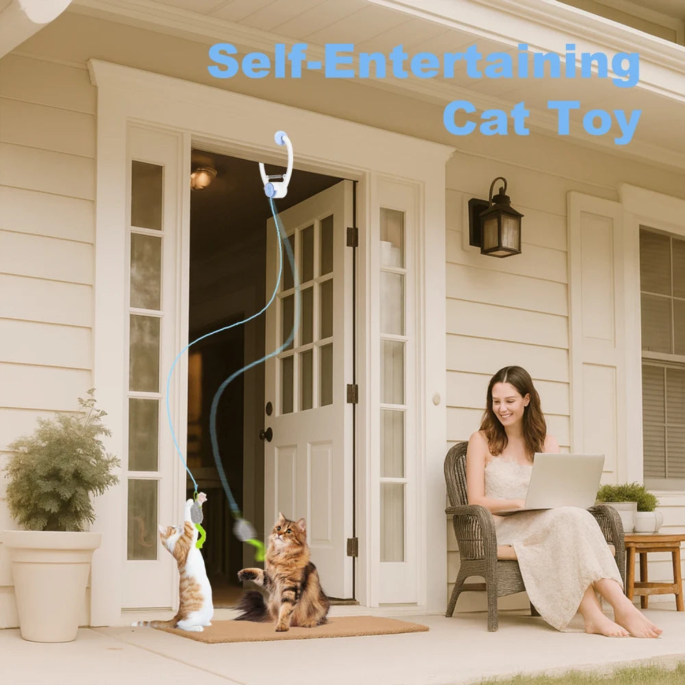 Hanging Cat Toy, Blue