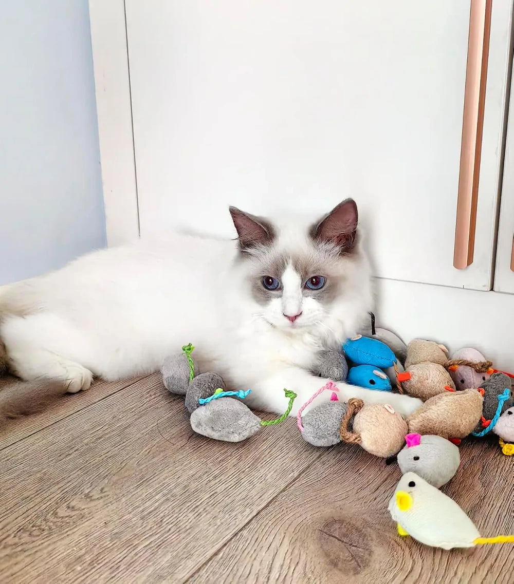 Catnip Mouse Toys 200PCS
