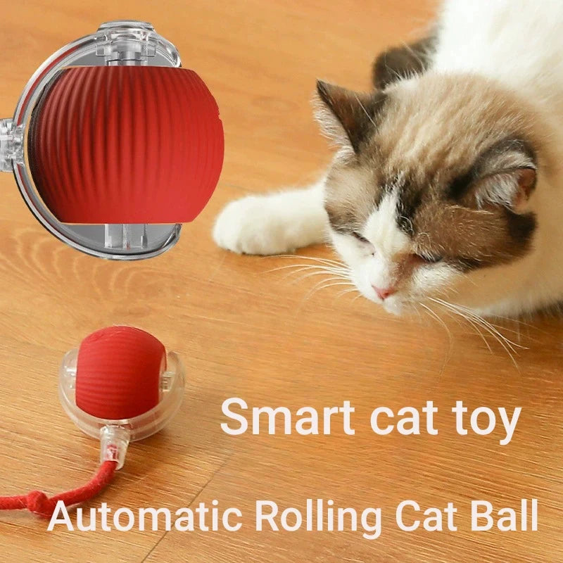 Automatic Rolling Cat Ball