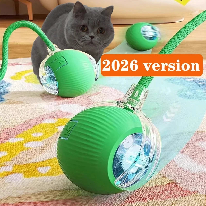 Automatic Rolling Cat Ball