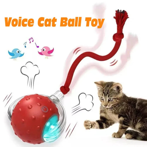 Automatic Rolling Cat Ball
