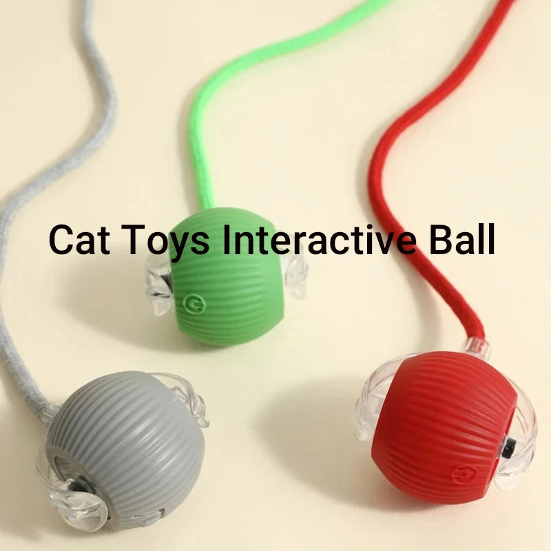 Automatic Rolling Cat Ball