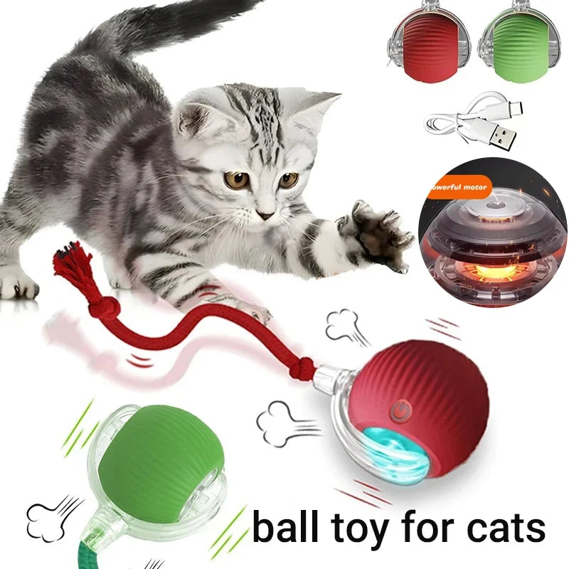 Automatic Rolling Cat Ball